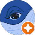 KM KM profile picture